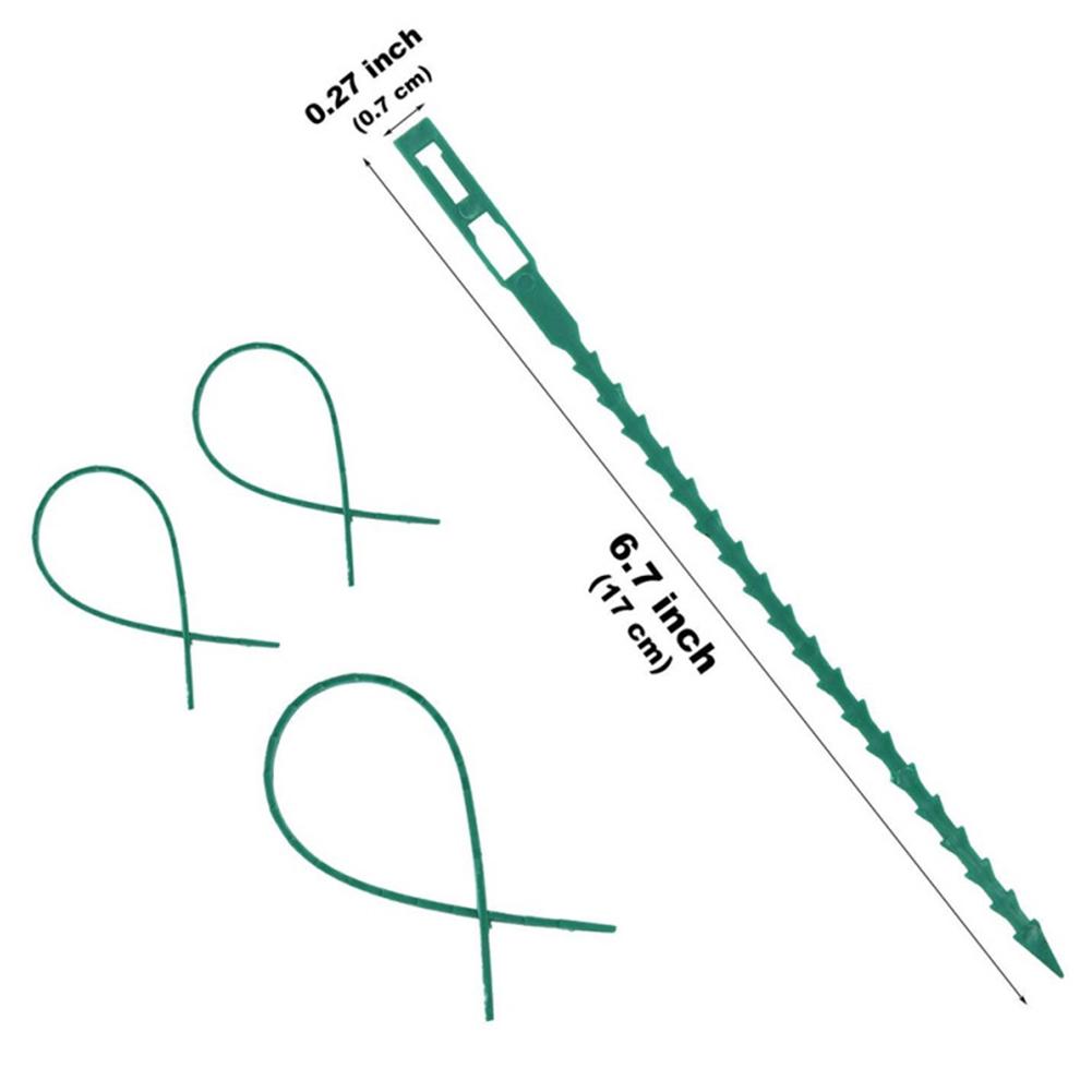 Хомут садовый для растений