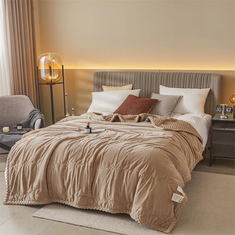 Red Dragonfly Bean Velvet Soothing Quilt