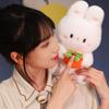 Doll Rabbit Plush Birthday Gift Rabbit Toy Persimmon Luck Animal Decoration