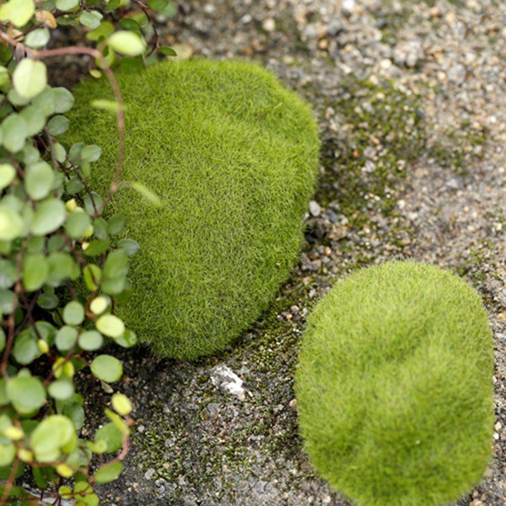 Accessories Lawn Ornament Fairy Garden Home Decor Mossy Stone Stone Model Simulation Moss