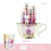 Moonlight Club Crystal Fleshy Potted Building Blocks Flower Microparticle Assembled Toys With Lights Girl Gift Desktop Ornaments