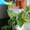 Portable Watering Equipment Gardening Supplies Plants Sprinkler Plastic Watering Can Kids Toys