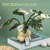 Monstera Potted Plant Needle Felting Supply for Beginner with Needle Instruction Wool Roving Wood Handle Wool Felt Tool