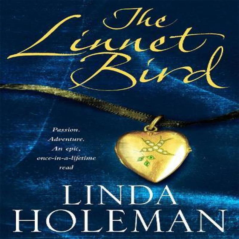 The Linnet Bird by Linda Holeman Paperback Book 9780755324637