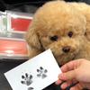 Cat Dog Paw Print Ink Kit Pad Safe Non-toxic Easy DIY Clean Touch Inkless Pet Souvenir Gifts Born Footprint Handprint