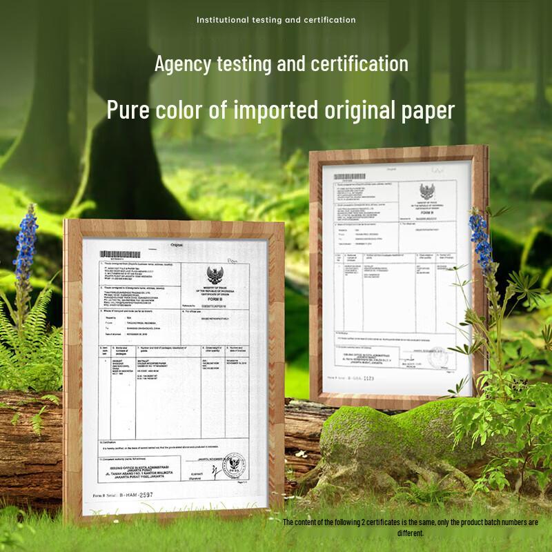 Deli Color Copy & Print Paper