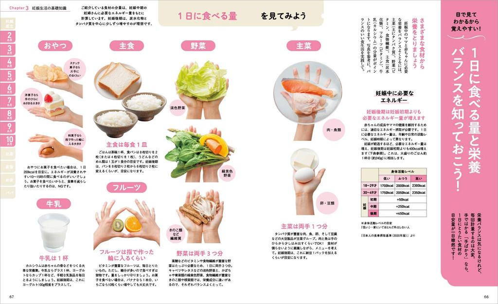 Последний! Первая беременность и роды Новая энциклопедия мини (Бенессе Мук Тамахиё Книги Новая серия энциклопедии Тамахиё)