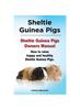 Книга Sheltie Guinea Pigs. Sheltie Guinea Pigs Owners Manual. How To Raise Happy and Healthy Sheltie Guinea Pigs.