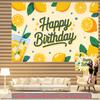 Party Backdrop Flat Lemonade Photo Background Decor Front Door Decor