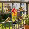 Stainless Steel Parrot Forager Feeder Durable Outdoor Bird Feeding Device Spiral Design Natural Fruit Basket for Small Pets