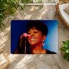 A-Anita Baker Floor Mat Flannel Rug Non Slip Absorbent Soft Washable for Entryway Hallway Bathroom Kitchen Decor