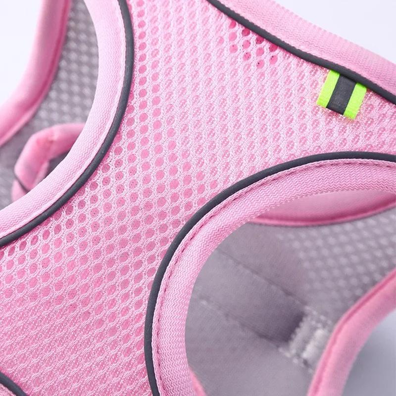 Cat Harness and Belt Set Breathable Accessories for Cats Pet Products Necklace Collar Pets Supplies Home Collars Things Cats