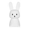 Лампа Зайчик Милая Лампа Кролик Меняющая Цвет Силиконовая Лампа Лампа Животное Перезаряжаемый Ночник Ночник для Малыша Для Специального