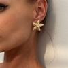 Summer Beach Ear Studs Simulated Starfish Small Star Earring Trendy Earrings for Women  for Women