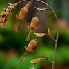 Rust-resistant Garden Decor Metal Flowers with Bells, 23.6 in Decorative Stake, Distressed Lily of the Balcony Planter Valley Spring Decor,