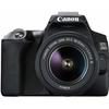 CANON EOS 250D KIT EF-S 18–55mm F3.5–5.6 III Черный