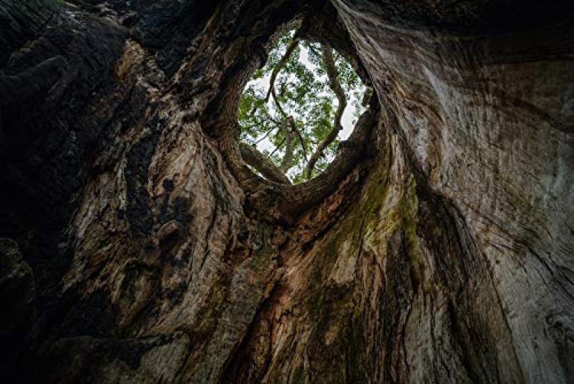 Объектив TTArtisan 21mm ASPH с креплением RF для Meisho, гарантия f/1.5 EOS-R, черный, оптический, 2 года