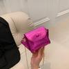 Trendy Summer Fashion Small Chain Crossbody Bag For Women In Elegant Colors