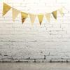 Metallic Bunting Birthday Party Triangle Pennant Decoration Photography Props for Adult Teen Birthday Party Decoration