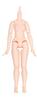 [Azone International] 1/12 Тело Picco Neemo Picco Neemo S/Девочка Свежая