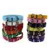 Pet Puppy Pure Color Neck Buckle Collar