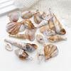 AE pcs Beach Conch Shell Pendants For Crafting Unique Keychains And Accessories Artistic Decoration