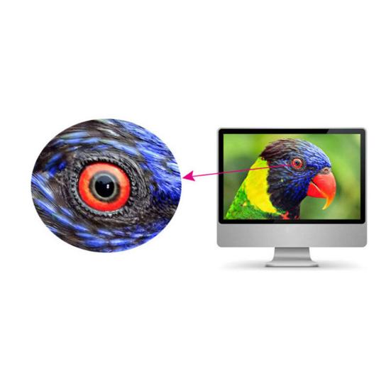 1080P HDMI-совместимый порт Male to 2 Female 1 In 2 Out Разветвитель Кабель Адаптер Конвертер