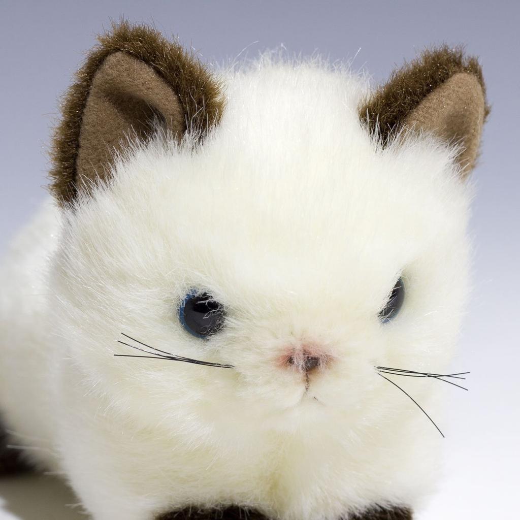 Takenoko Petit Dream Mini A Siamese Cat Plush Toy 95029