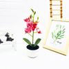 Potted Simulated Phalaenopsis Artificial Artificial Flower Desktop Ornament