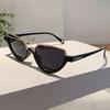 Popular Cat Eye Sunglasses Fashion Retro Korean Style Leopard Shades Women Trendy Brand Designer Stylish Sun Glasses