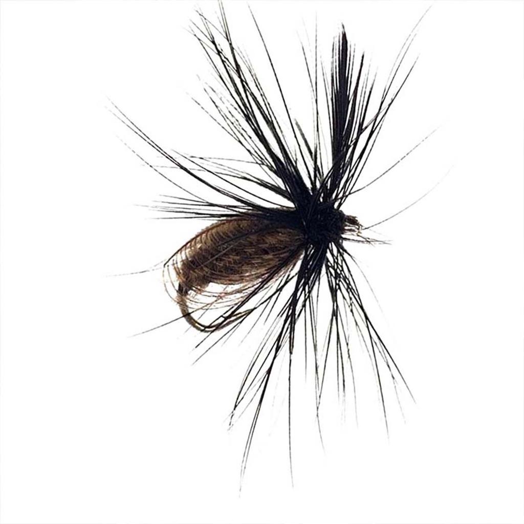 5/10/20/25Pcs/Box Black Fly Peacock Feather Wings Fly Fishing for Trout Bait Size #10 Flies Artificial Insect Bait Lure
