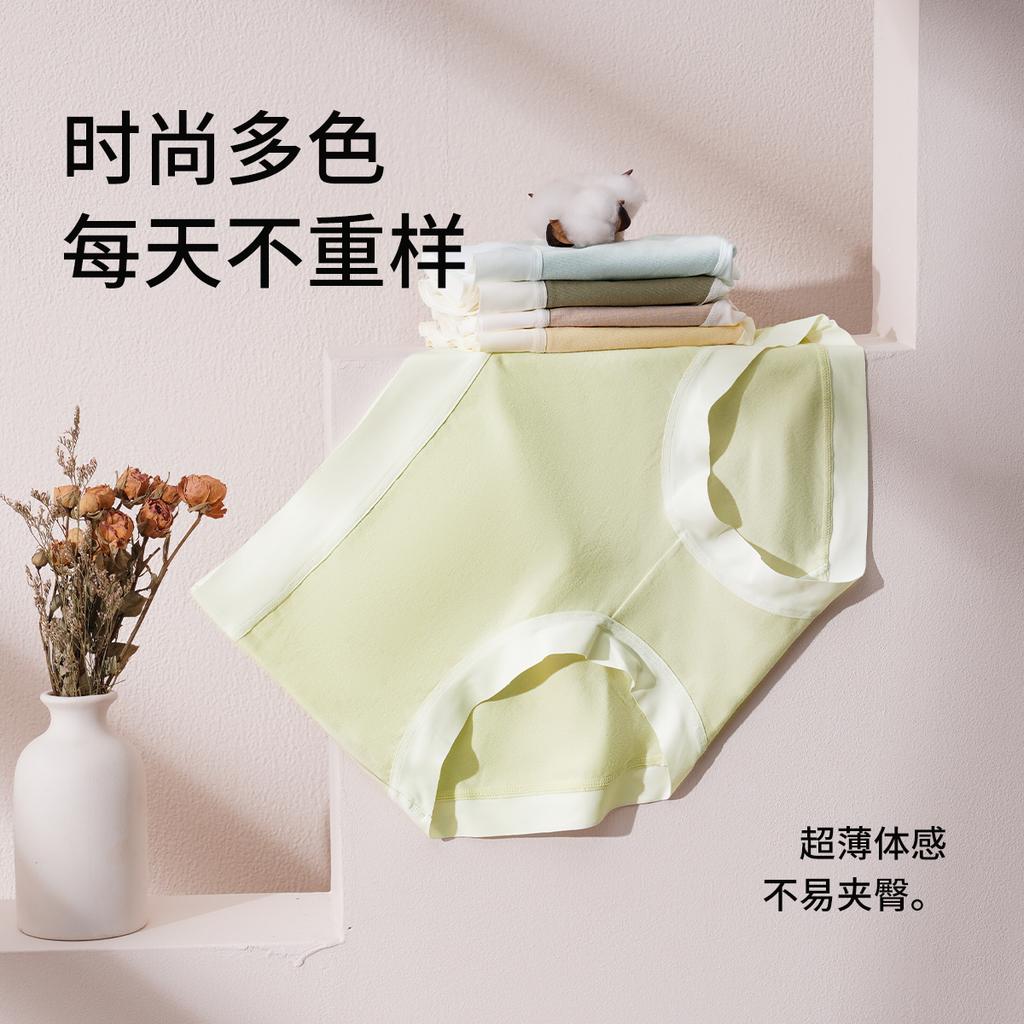 3-Pack Seamless Cotton Underwear for Women