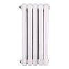 Dongfeier 5025 Steel Double-Column Hydronic Radiator