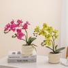 Маленькие искусственные цветы Фаленопсис в горшках для декора гостиной, обеденного стола и тумбы под телевизор