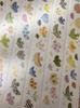 Cute Themed Die-Cut Washi PET Tape Little Bird, Butterfly & Flower Designs for Scrapbooking & Journaling