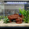 Simulated Rock Fish Tank Rockery Ornaments Realistic Texture Reptile Resting Place  Aquariums