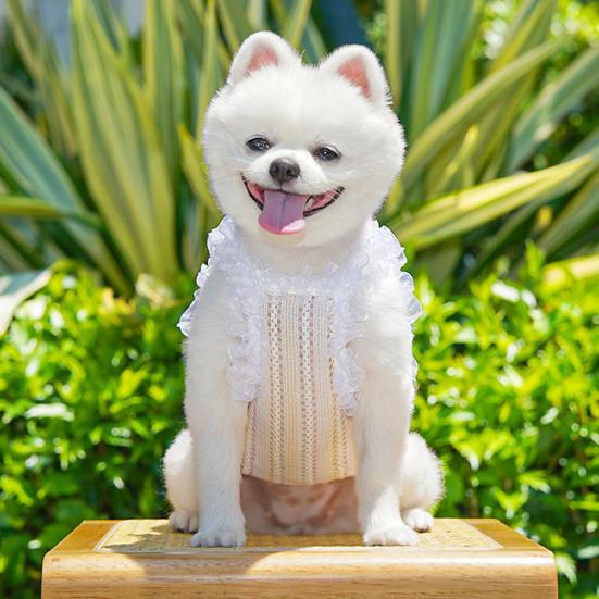 Pet Sleeveless Shirt Ruffle Collar Lace Bowknot Decor Breathable Spring Summer Small Medium Dog Cat Vest Clothes Outfit Apparel Pet Supplies