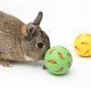 1 шт., мяч для угощения кролика, интерактивная игрушка для кролика, игрушка-закуска, устойчивая к укусам, игрушка для кормления хорька, котенка, хомяка