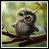Full 5D Diy Diamond Painting Cartoon Cute Owl Embroidery Cross Stitch Home Decor Handmade Gift