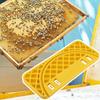 Honey Collection Tool Easy To Use Beekeeping Scraper Tool with Stable Slot Flat Honey Harvesting Beehive Board Honey Extractor for Beekeeping