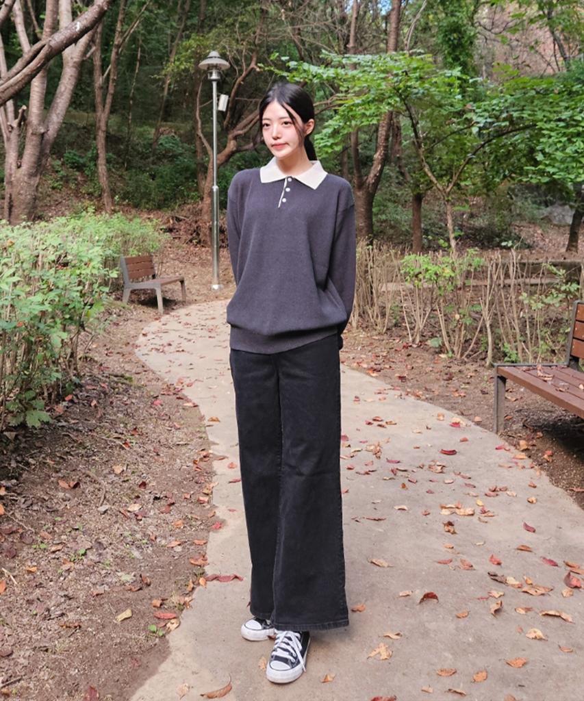 POLYGRAM Long Sleeve Collared Knit - 4 Colors (Type B)