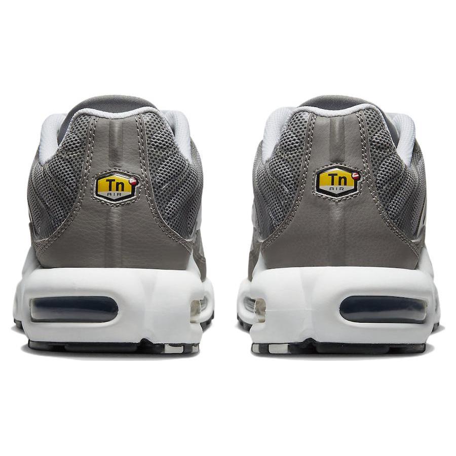 Nike Air Max Plus Flat Pewter DV7665-002