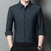 Spring and Autumn New Style Middle-aged Striped No-iron Shirt Men's Long-sleeved Thin Ice Silk Nylon Seamless Shirt Men's Clothing