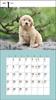 Календарь 2024 года Милый золотистый ретривер (Календарь Seibundo Shinkosha)