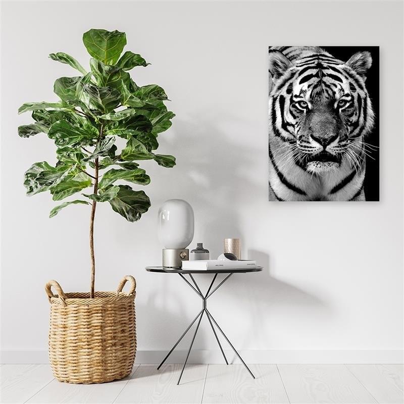 Canvas Print Tiger Africa Black and White