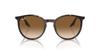Солнцезащитные очки RB2204F HAVANA 54 [Ray-Ban]