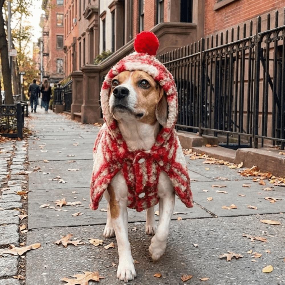 Thick Plush Pet Hooded Cape Vest Fuzzy Fleece Christmas Pet Cape Retro Pet Christmas Cloak Winter