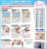 BEVERLY [Made in Japan] Beverly 1000 Piece Jigsaw Puzzle Collection of Japan's Famous Places! (49 x 72cm)