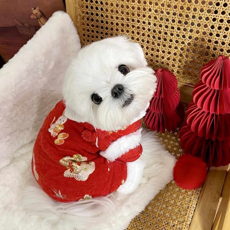Pet New Year's Clothing Teddy Bichon Festive Dog Clothes Yorkshire Small Dog Cat VIP New Year Autumn And Winter Clothes