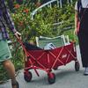 Тележка для переноски Coleman Carry Cart Outdoor Wagon Грузоподъемность около 100 кг со стопором Компактное хранение